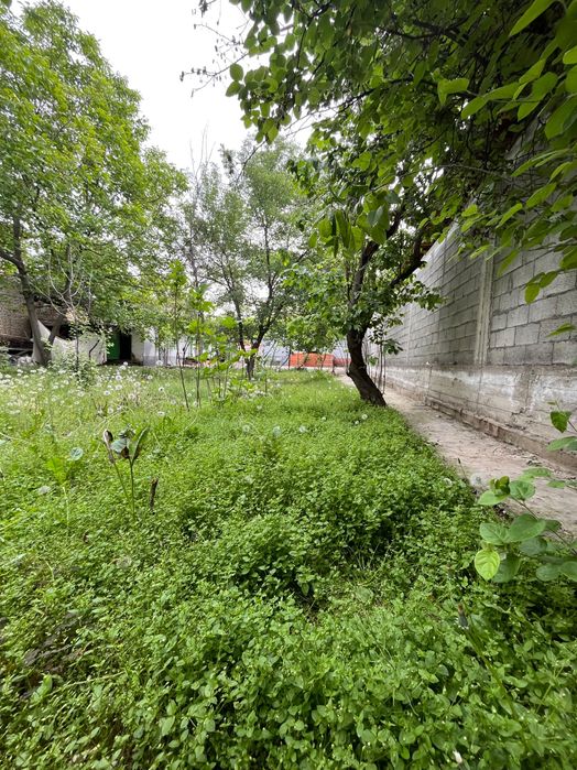 Андижан, Зеленый мост, Ховли сотилади