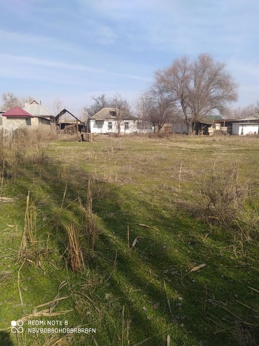 Уй сотилади сирдарёо бахт