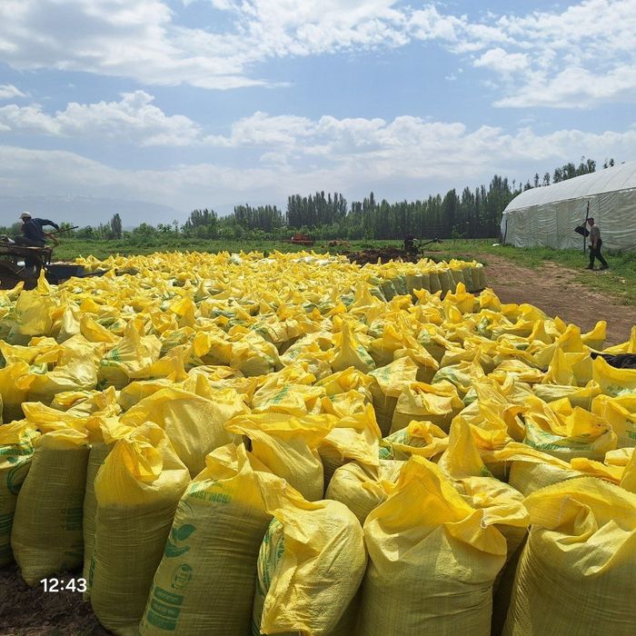 Biogumus optim narxda sotuvda Uzbekiston buylab dastafkamiz bor .