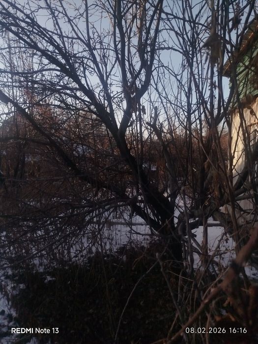 Срочно продам дачу