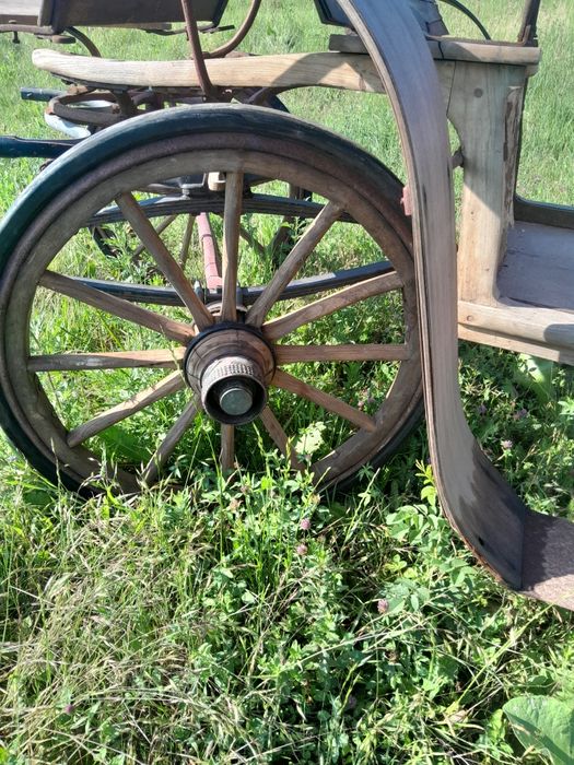 Trăsură veche proveniență Germania