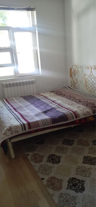 Аренда Саракулька Рисовый