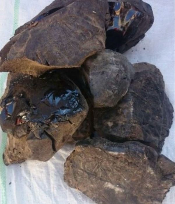 Vand smoala la calup 25 lei/kg