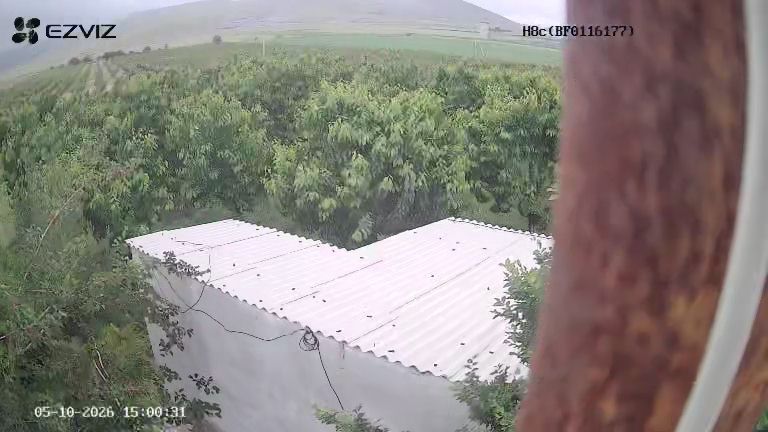 Гилос бог уй молхона свет сув хамма нарсаси бор