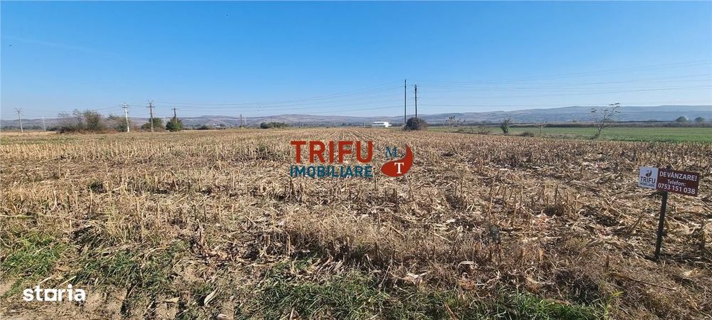 Teren intravilan de vanzare 2900 mp pe Soseaua de Centura