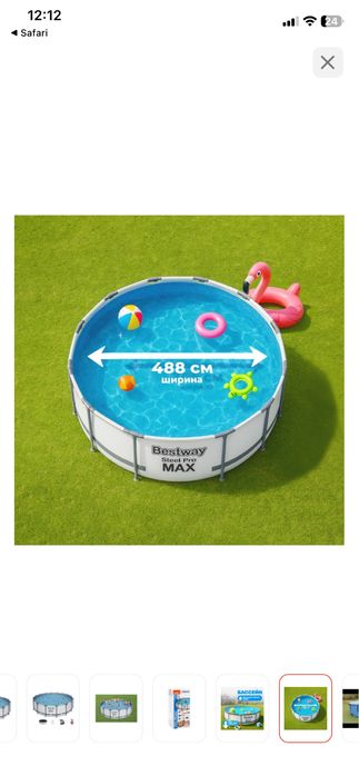 Басеин каркасный