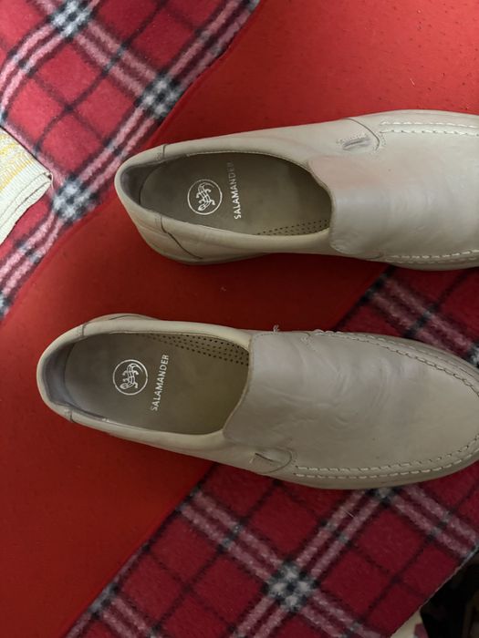 Продам саламандры белые.