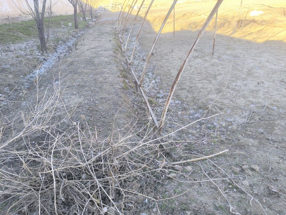 Теплица сатылады