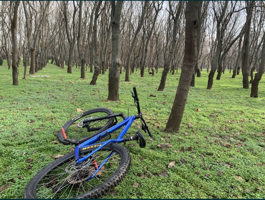 Specialized rockhopper