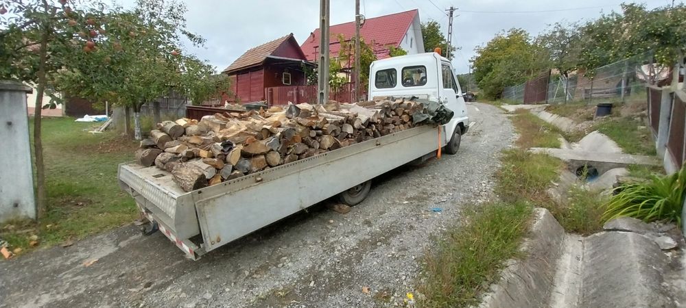 Vând autoutilitară transport auto hidraulic Renault Master an 1995 moț.2,5 iveco euro 1