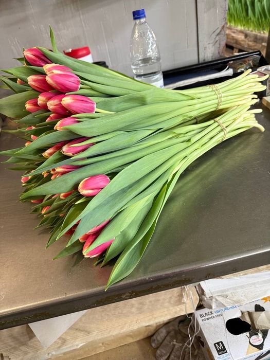 •Цветы •Гулдер оптом