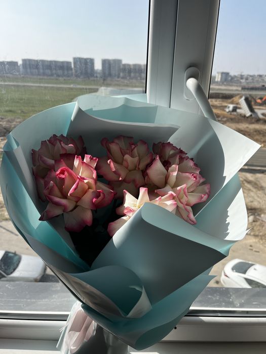 Цветы норм что еще