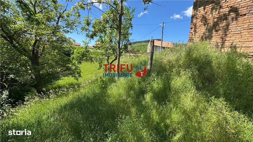 Casa de vanzare in Inuri comuna Vintu de Jos