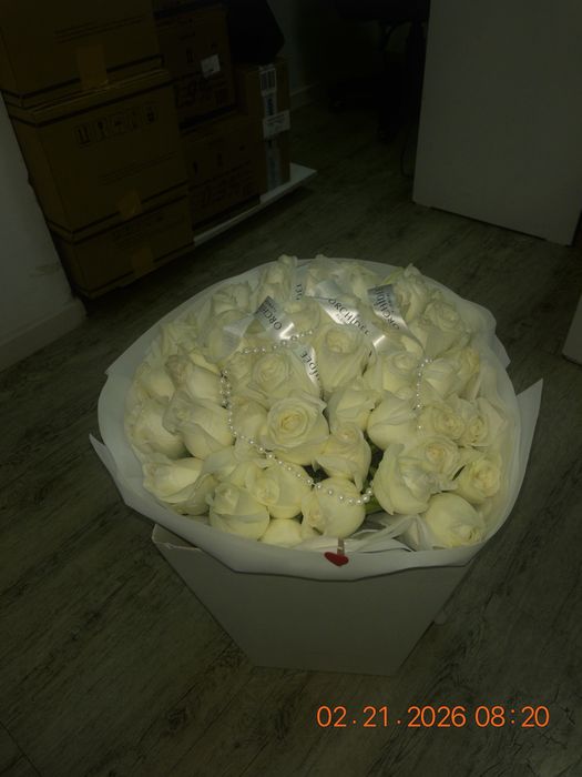 Белые розы 51 штук