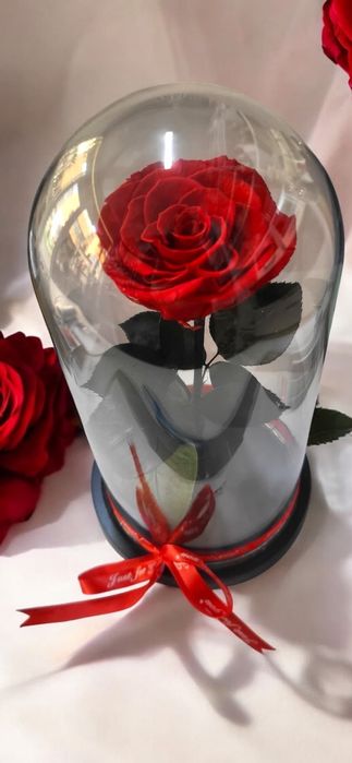 Trandafiri criogenati!