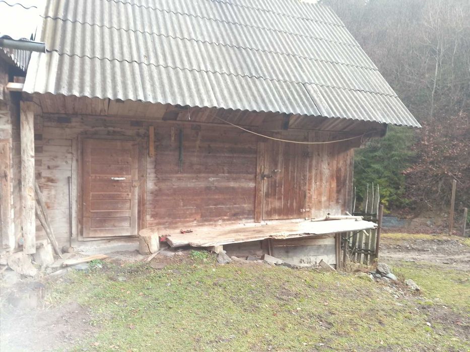 Vind grajd din birna