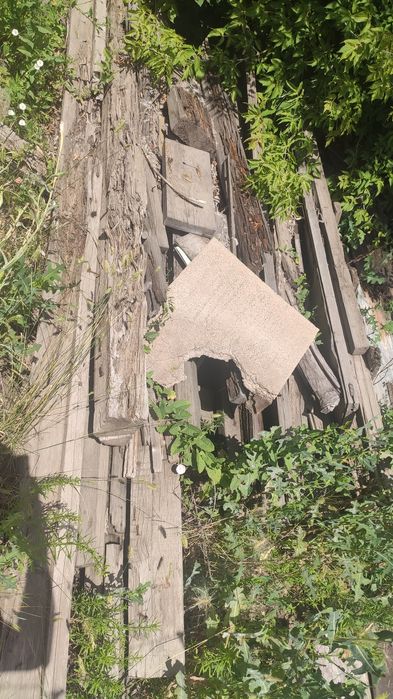 Ағаштар, отын, дрова, поленья