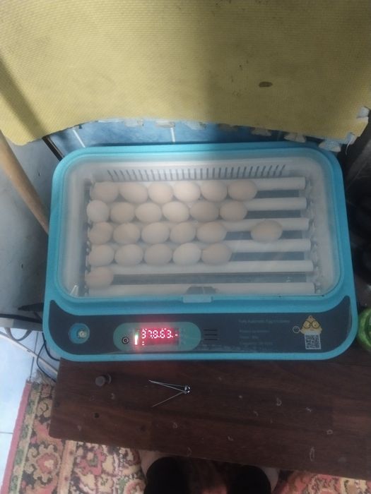 Продам инкубатор на 32 яйча