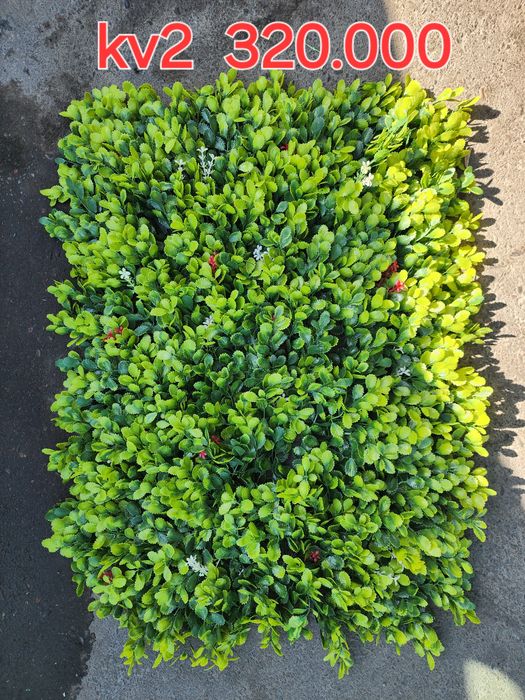 Dekarativne har xil  risunkadagi gullar