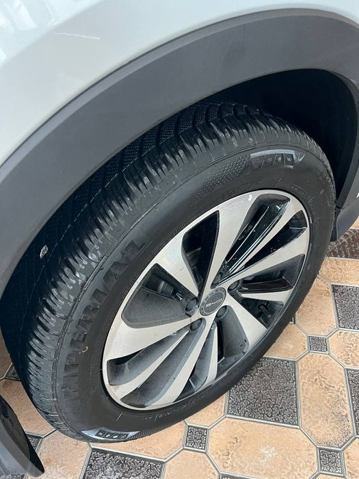 Byd chempion nasiyaga beriladi