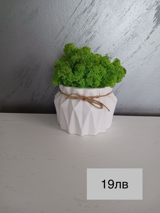 Декоративни кашпи с естествен скандинавски мъх