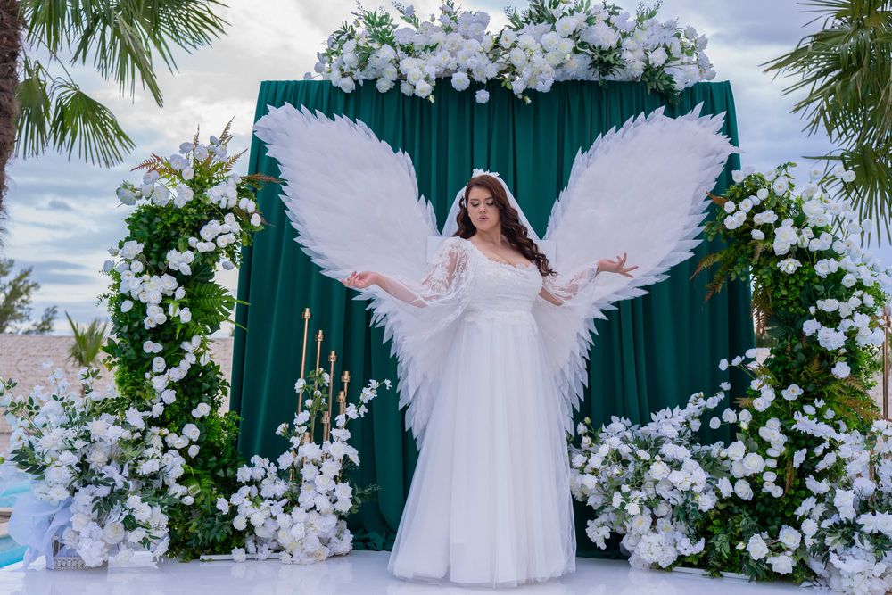 Fotograf, Videograf, Oglinda Foto, Platforma 360, Drona, Albume