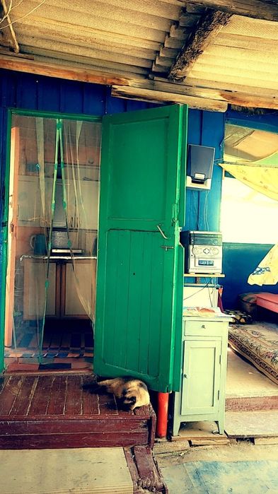 Продам дачу, Спутник