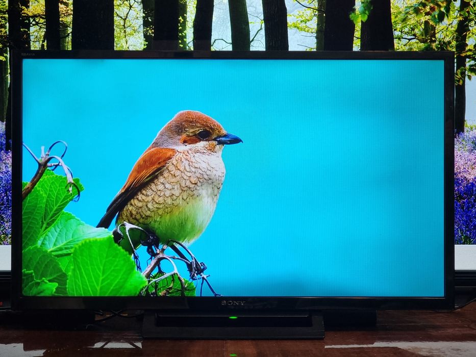 Телевизор / Sony - 32" - FullHD , Цифрова + Ефирна
