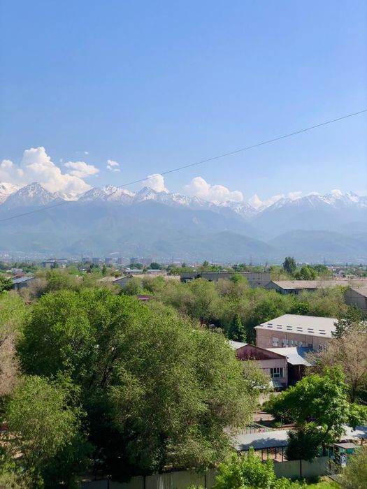 1 комнатная квартира