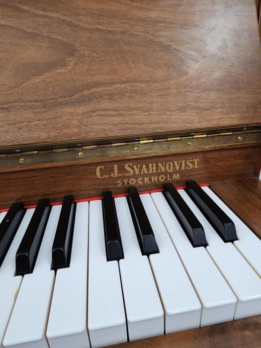 Pian suedez stare f buna