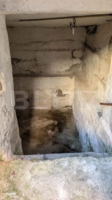 Casa cu 2 camere si mansarda ,plus bucatarie de vara .