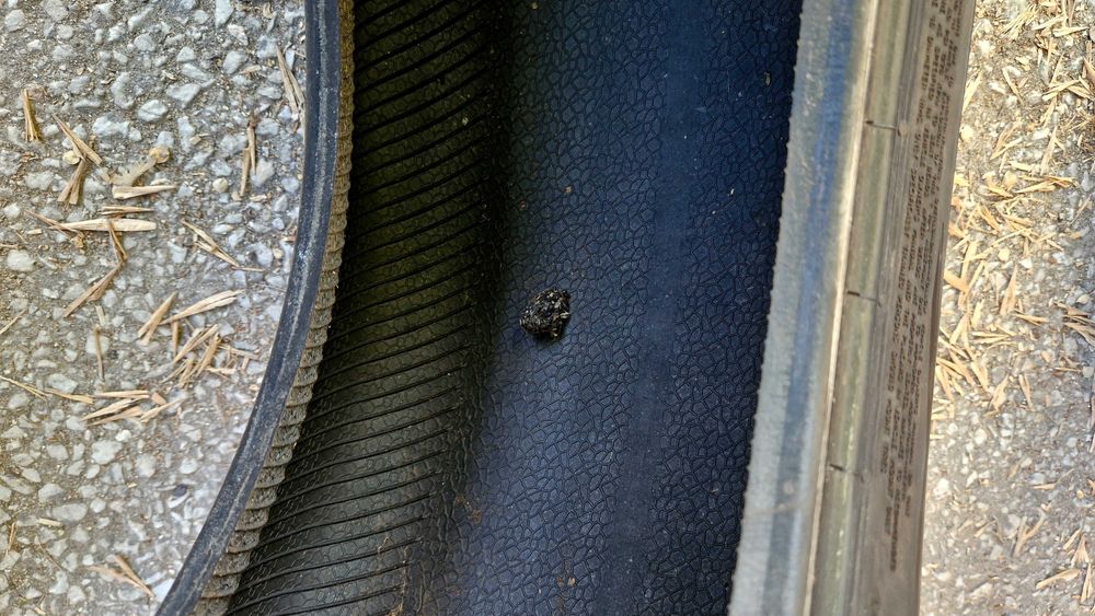 4бр 205/55/16 летни гуми Continental EcoContact 6. Континентал