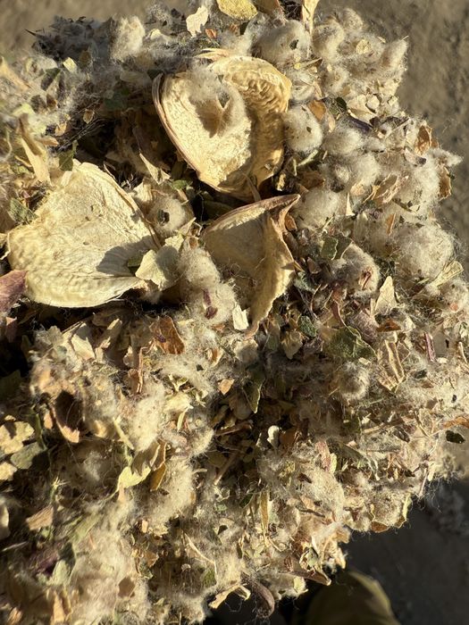 Мақта қауашағы сатылады