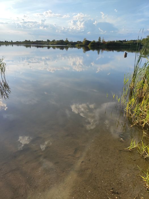 Продам дачу в Черёмушках рядом с речкой