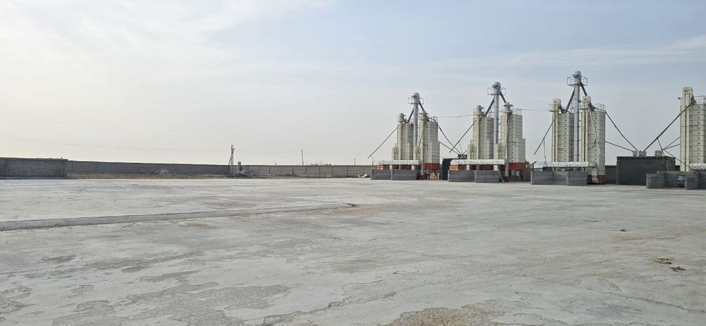 Sirdaryo shahar Sholikorda 2 gektar noturar sotiladi