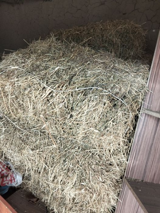 Сено прессованный