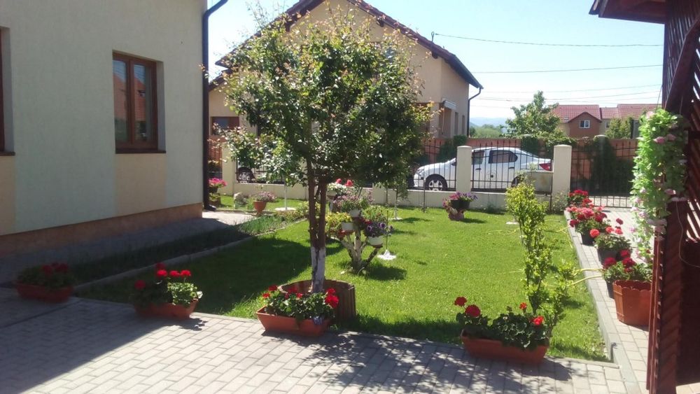 Casa de Vânzare Drumul Petrestiului