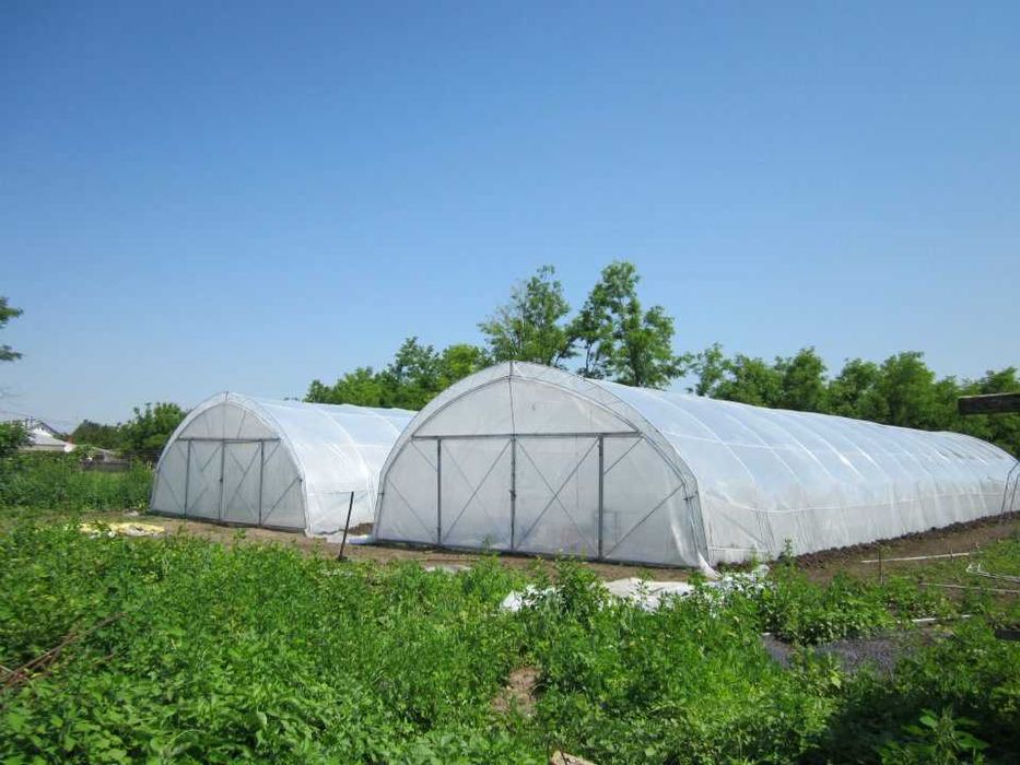 Vând 3 Solarii Profesionale 8x32m–Arcade tip Fermă(Duble)–H- 3.5m