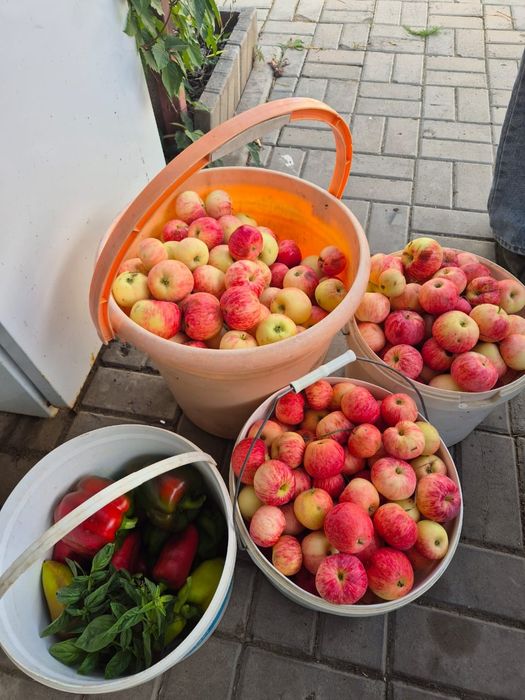 Продам дачу в дачном массиве