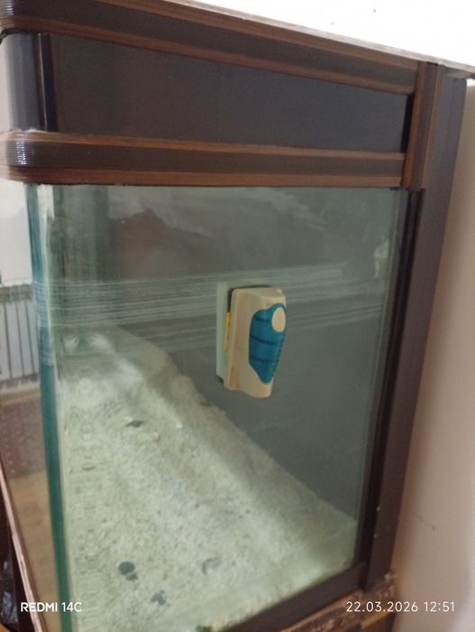 Аквариум  Akvarium