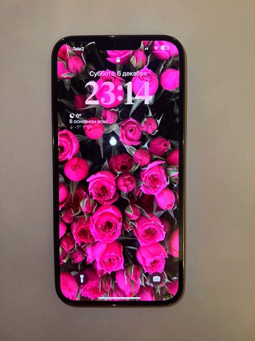 iPhone 13 Pro Max 1Tb