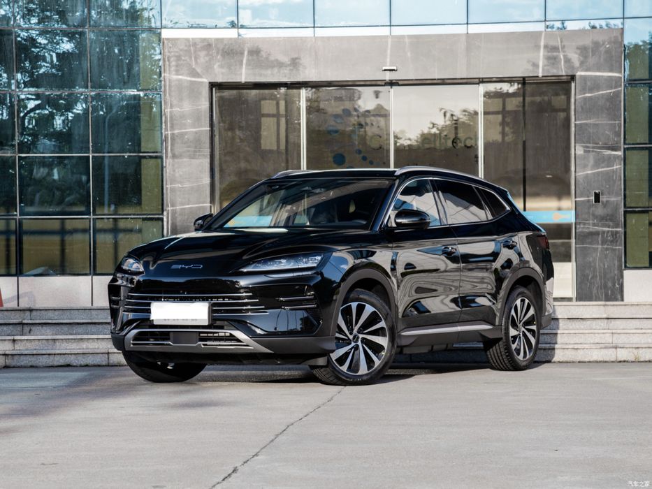 Byd chempion gibrid 150