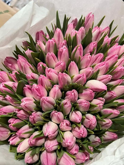 тюльпаны  290тг степногорские