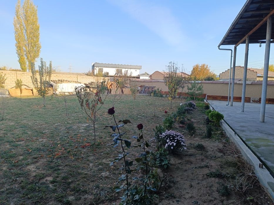 Ташгрес продаётся участок ховли 8 соток земли 6 комнат 3 комнаты жилые