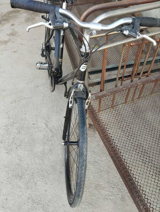 Bergamont va Bulls veliklari