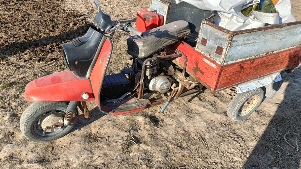 Продам два муравей