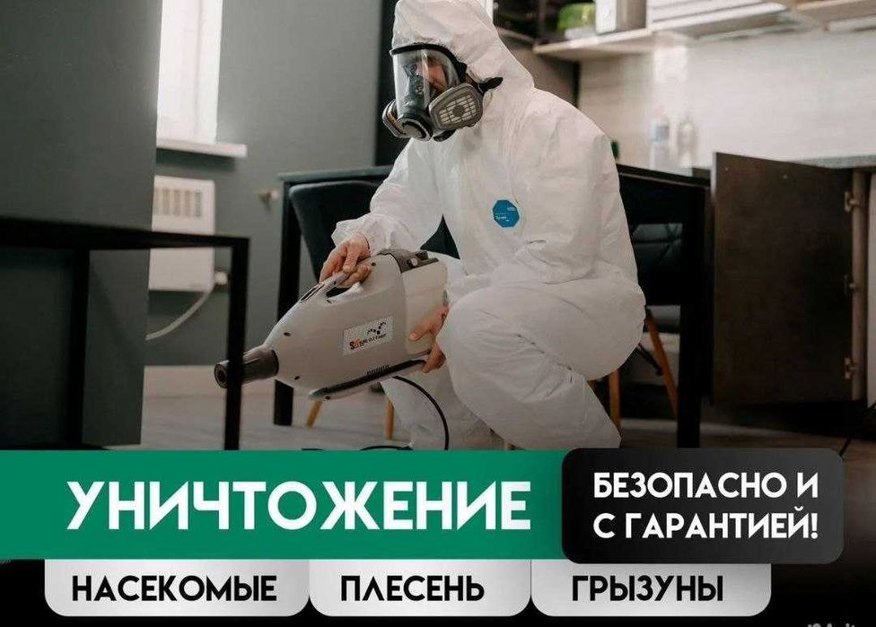 Дезинфекция! Насекомые дома? Пора решить проблему раз и надолго