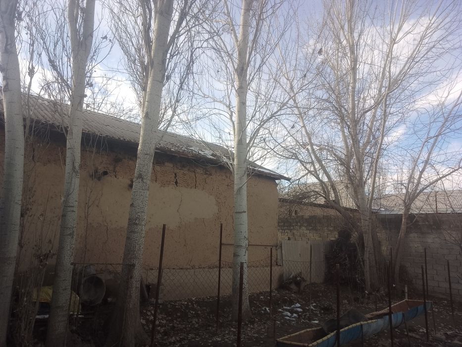 Тераклар сотилади