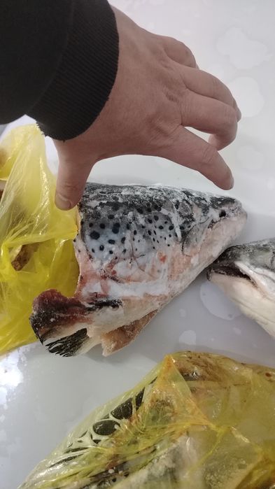 Голова семги штучно