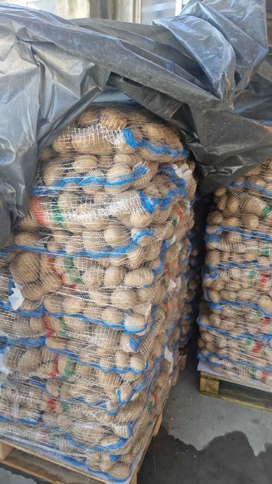 Vand cartofi de consum cal. 1